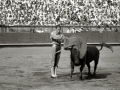 CORRIDA DE TOROS EN LA PLAZA DE "EL TXOFRE". (Foto 49/79)
