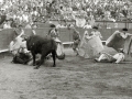 CORRIDA DE TOROS EN LA PLAZA DE "EL TXOFRE". (Foto 51/79)