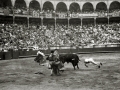 CORRIDA DE TOROS EN LA PLAZA DE "EL TXOFRE". (Foto 62/79)