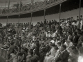 CORRIDA DE TOROS EN LA PLAZA DE TOROS DE TOLOSA. (Foto 2/10)