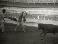 CORRIDA DE TOROS EN LA PLAZA DE TOROS DE TOLOSA. (Foto 5/10)