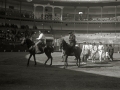 CORRIDA DE TOROS EN LA PLAZA DE TOROS DE TOLOSA. (Foto 9/10)