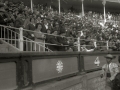 CORRIDA DE TOROS EN UNA PLAZA. (Foto 5/61)