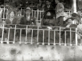 CORRIDA DE TOROS EN UNA PLAZA. (Foto 6/61)