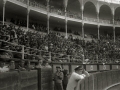 CORRIDA DE TOROS EN UNA PLAZA. (Foto 9/61)