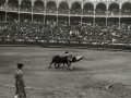 CORRIDA DE TOROS EN UNA PLAZA. (Foto 15/61)