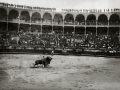 CORRIDA DE TOROS EN UNA PLAZA. (Foto 20/61)