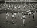 CORRIDA DE TOROS EN UNA PLAZA. (Foto 36/61)