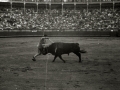 CORRIDA DE TOROS EN UNA PLAZA. (Foto 46/61)