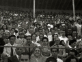 CORRIDA DE TOROS EN UNA PLAZA. (Foto 51/61)
