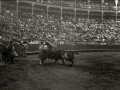 CORRIDA DE TOROS EN UNA PLAZA. (Foto 52/61)