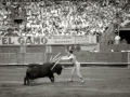 CORRIDA DE TOROS EN UNA PLAZA. (Foto 57/61)