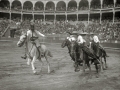 CORRIDA DE TOROS GOYESCA EN LA PLAZA DE "EL TXOFRE". (Foto 22/22)