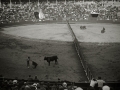 CORRIDA DE TOROS Y ESPECTACULO COMICO TAURINO. (Foto 1/1)
