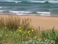 Naturaleza Dunas y Marismas