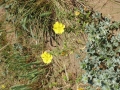 Naturaleza Dunas y Marismas