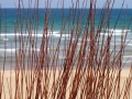 Naturaleza Dunas y Marismas