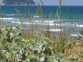Naturaleza Dunas y Marismas