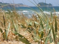 Naturaleza Dunas y Marismas