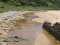 Naturaleza Dunas y Marismas