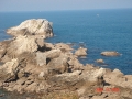 Mollarri