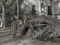 DAÑOS CAUSADOS EN LA FACHADA DEL PALACIO DE NARROS DE ZARAUTZ POR LA CAIDA DE UN ARBOL SOBRE ELLA A CAUSA DE UNA TORMENTA. (Foto 1/6)