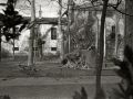 DAÑOS CAUSADOS EN LA FACHADA DEL PALACIO DE NARROS DE ZARAUTZ POR LA CAIDA DE UN ARBOL SOBRE ELLA A CAUSA DE UNA TORMENTA. (Foto 2/6)