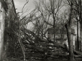 DAÑOS CAUSADOS EN LA FACHADA DEL PALACIO DE NARROS DE ZARAUTZ POR LA CAIDA DE UN ARBOL SOBRE ELLA A CAUSA DE UNA TORMENTA. (Foto 3/6)