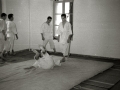DEMOSTRACION DE JUDO. (Foto 2/6)