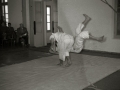 DEMOSTRACION DE JUDO. (Foto 6/6)