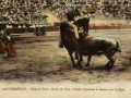 San Sebastián : plaza de toros : suerte de vara = picador repoussant le taureau avec la pique / Cliché Gonzalès