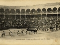 Corrida de toros : paseo de la cuadrilla = Courses de taureaux : sortie de la troupe / MD.