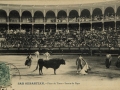 San Sebastián : plaza de toros : suerte de capa / Cliché González