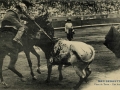 San Sebastián : plaza de toros : una buena vara / Cliché González