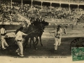 San Sebastián : plaza de toros : las mulillas para el arrastre / Cliché González