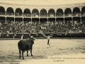 San Sebastián : plaza de toros : cite para una suerte de banderillas = les banderilles / Cliché González