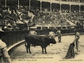 San Sebastián : plaza de toros : después de una buena estocada = après une bonne estocade / Cliché González
