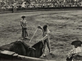 San Sebastián : plaza de toros : descabello a pulzo [sic] = le matador donne le coup de grâce au taureau