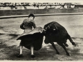 Corrida de toros : suerte de capa = jeu de manteau = cloak's play