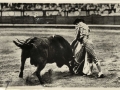 Corrida de toros : suerte de capa = jeu de manteau = cloak's play