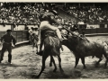 Corrida de toros : un puyazo = picador repoussant le taureau = wounding the bull with the goad