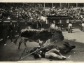 Corrida de toros : caída del picador = chute du picador = the picador's fall