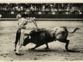 Corrida de toros : suerte de banderillas = une paire de banderillas = the banderillas sort
