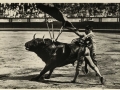 Corrida de toros : un pase de muleta = le matador jouant la muleta = the breast pass