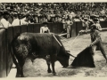 Corrida de toros : entrando a matar = mise a mort du taureau = killing the bull