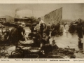 Museo Municipal de San Sebastián : Sardineras donostiarras / Resines foto.