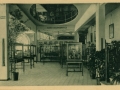 San Sebastián : Palacio del Mar : vista parcial de una sala del Museo Oceanográfico