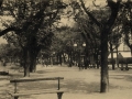San Sebastián : paseo del Boulevard
