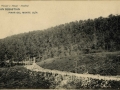 San Sebastián : pinar del monte Ulía