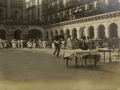 San Sebastián : Artzaias e Iñudes en la plaza de la Constitución